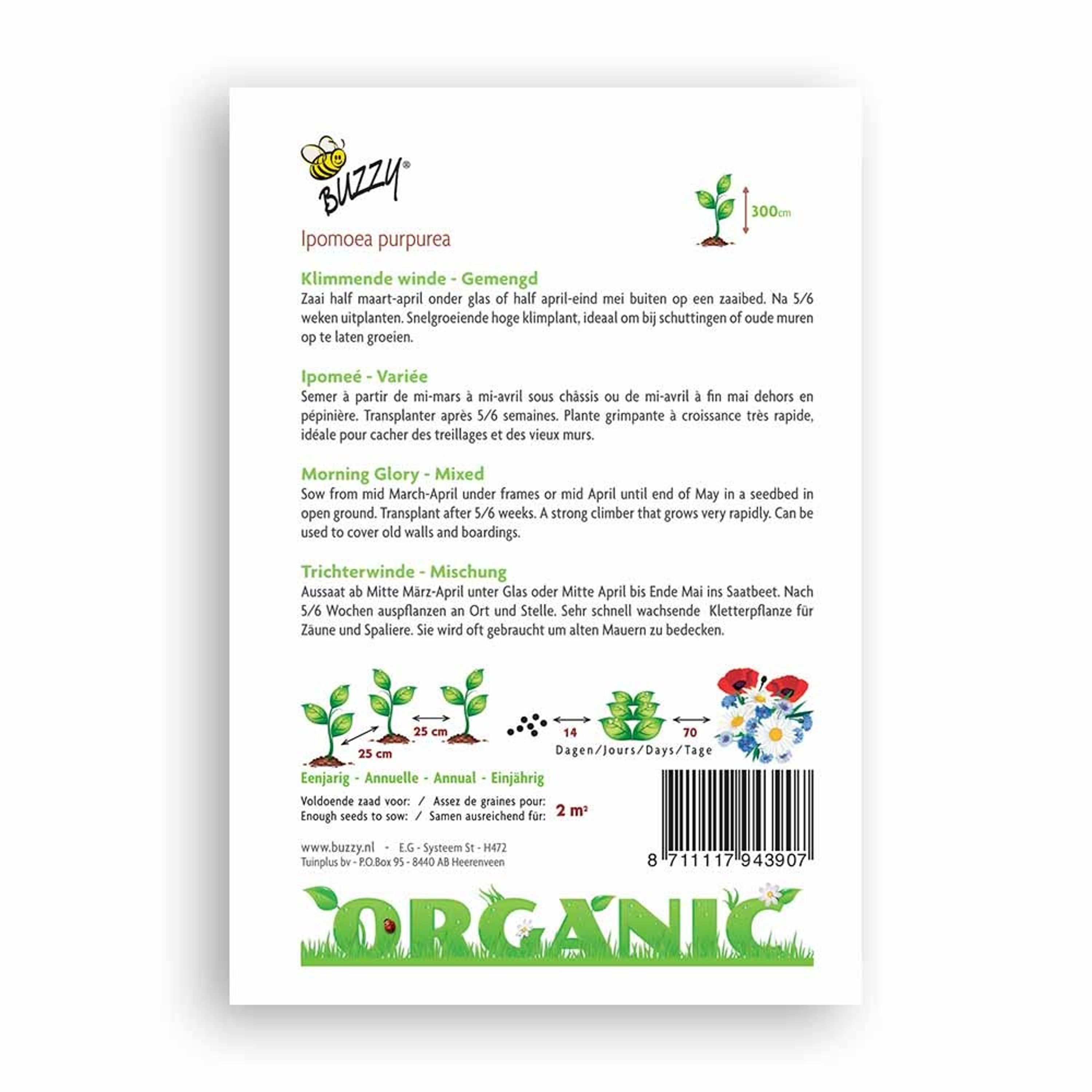 Buzzy® Organic Trichterwinde Mischung (BIO) | Buzzy Bio Organic