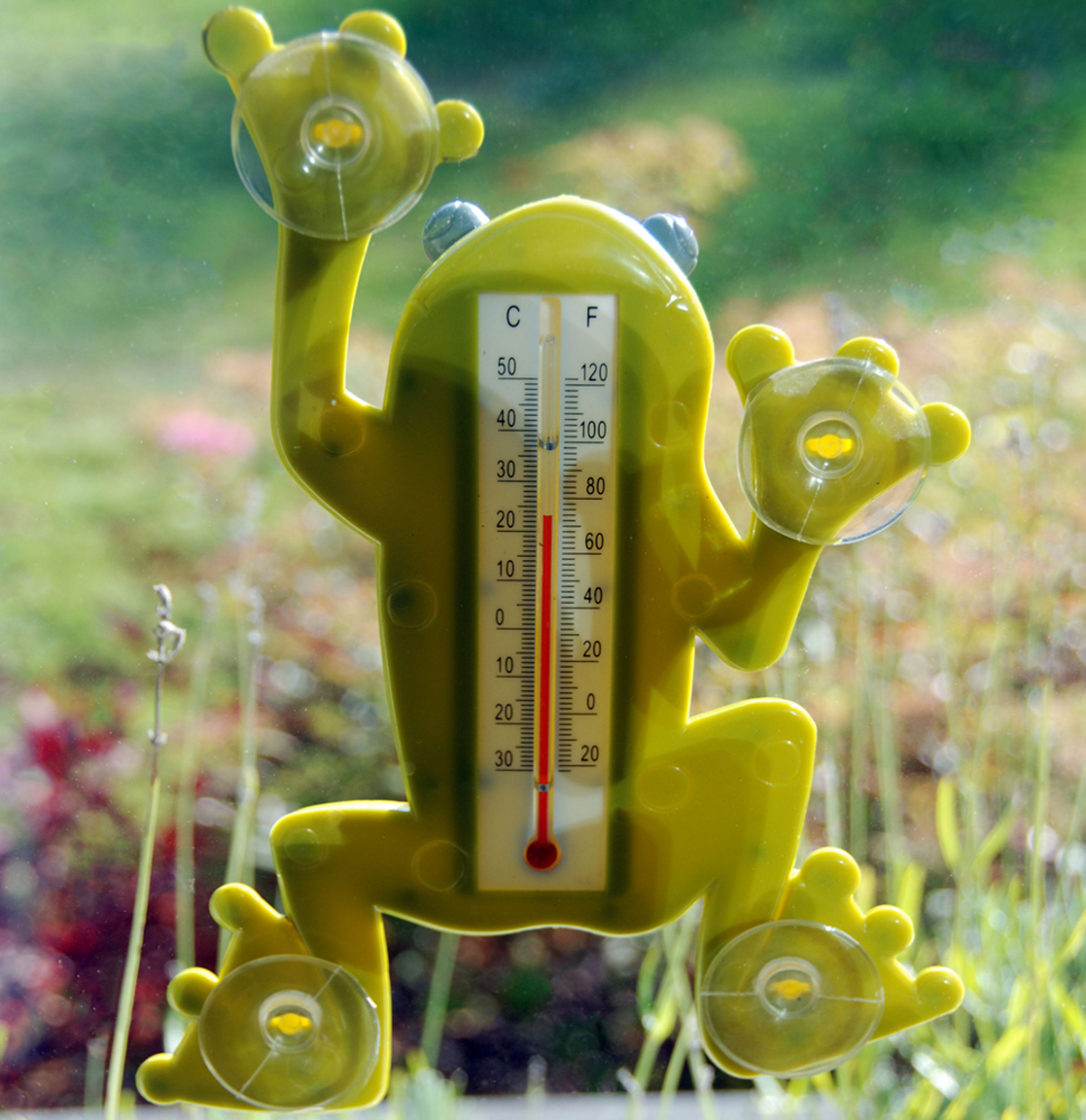 Raamthermometer Kikker | Vivara | Thermometer voor kinderen | Partner van Vogelbescherming Nederland