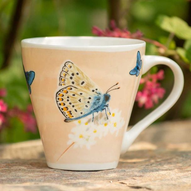 Tasse Papillon Argus Bleu – Myrte 