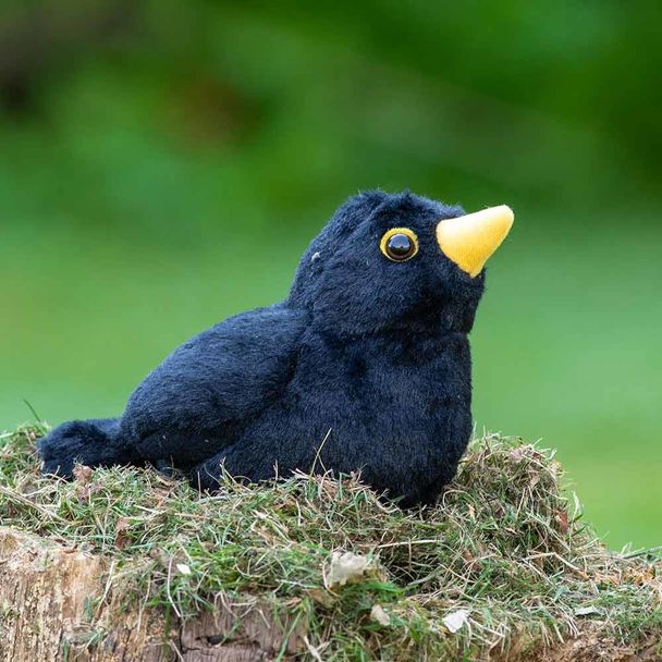 Vogelknuffel met geluid – Merel