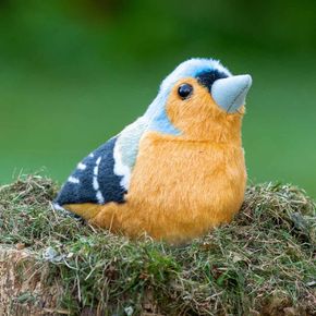 Gosedjur Bofink med ljud