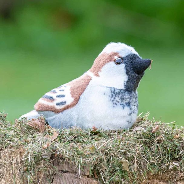 Kuscheltier mit Vogelgeräuschen – Haussperling