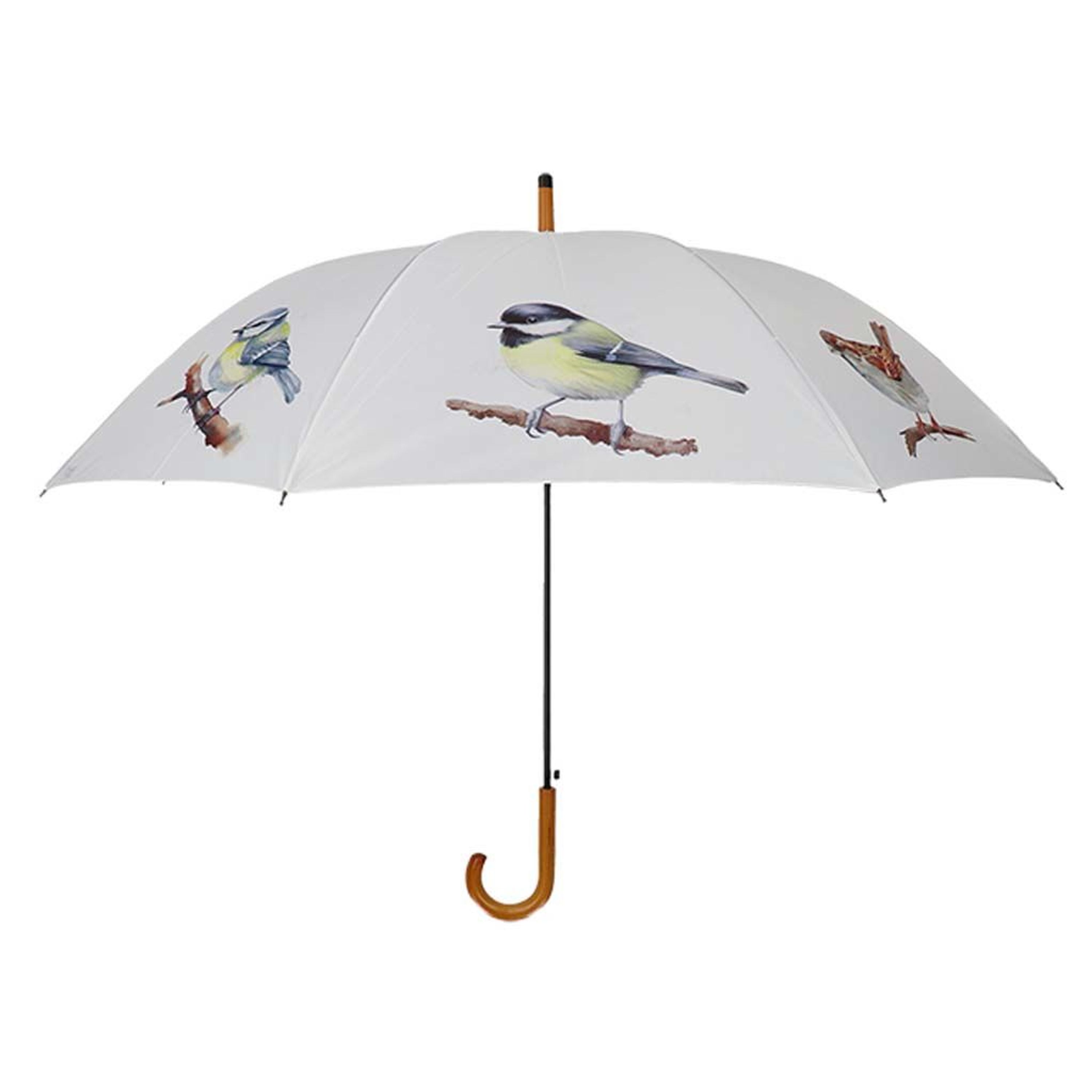 Meilleurs prix pour Parapluie aquarelle oiseaux | Vivara