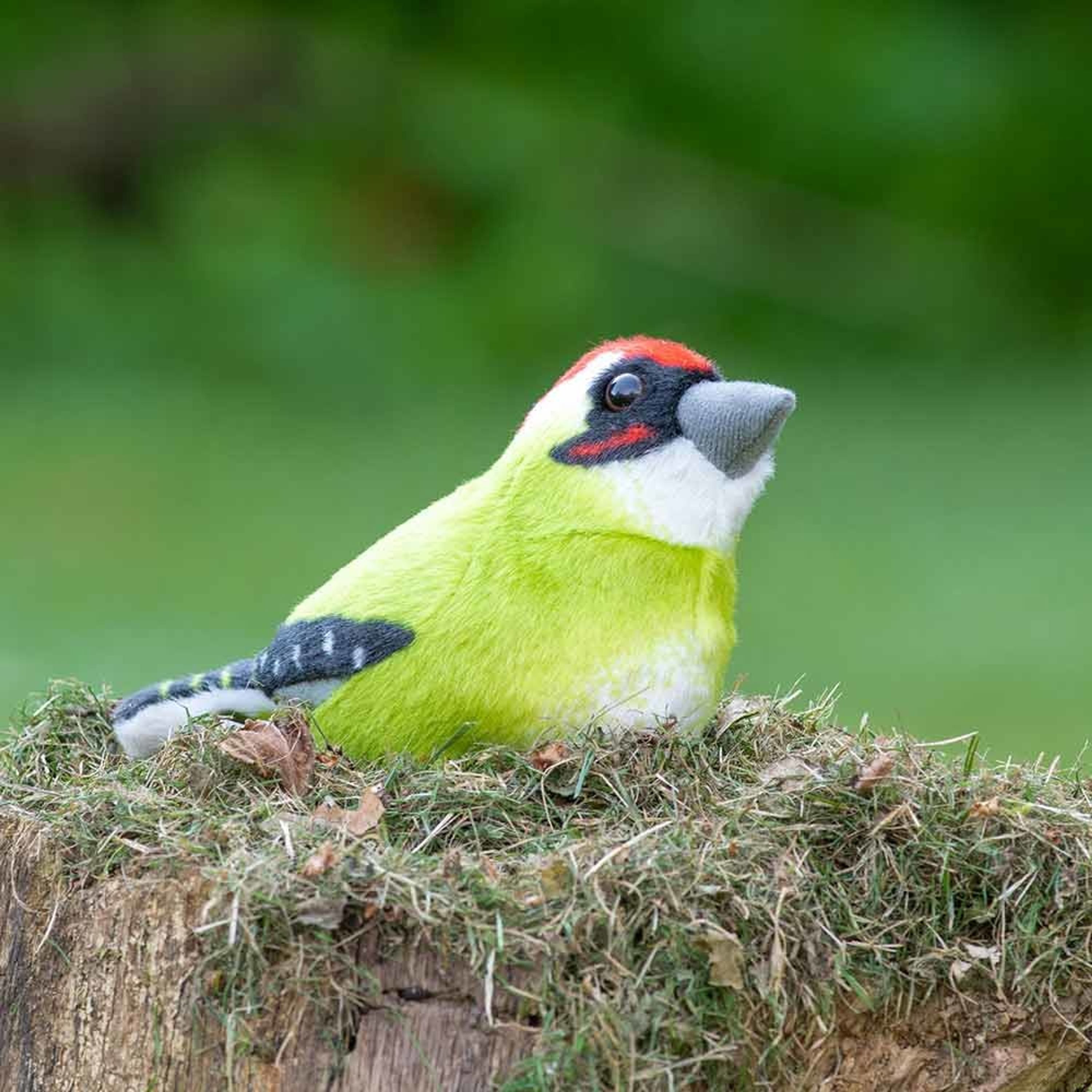 Vogelknuffel met geluid – Groene Specht | Vivara |  | Partner van Vogelbescherming Nederland