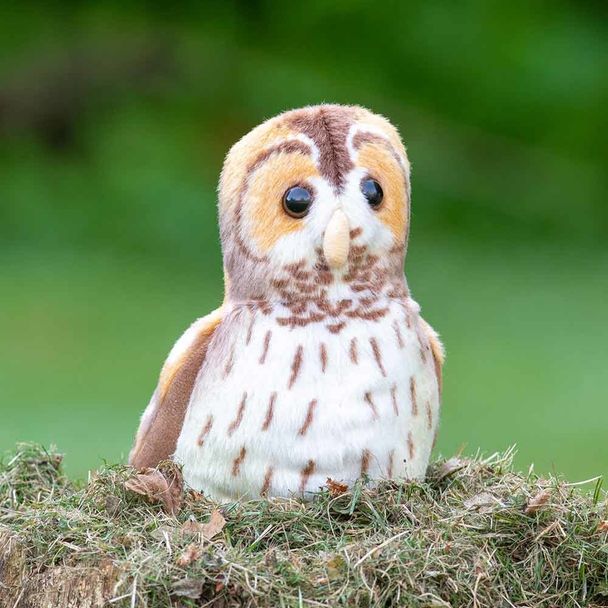 Vogelknuffel met geluid – Bosuil