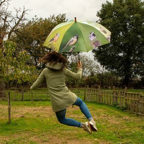 Regenschirm mit Gartenvögeln