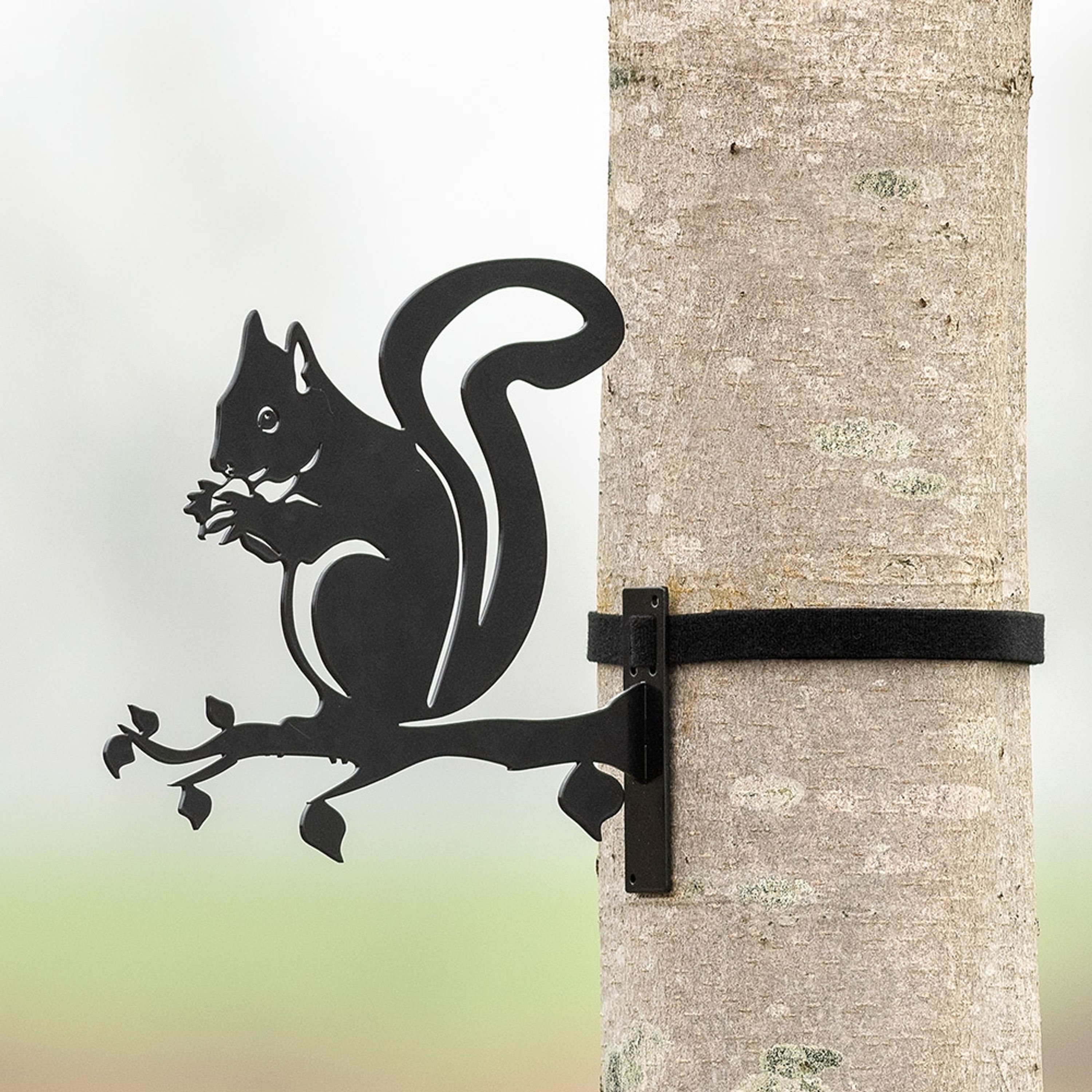 Metallsilhouette – Eichhörnchen | CJ Wildlife