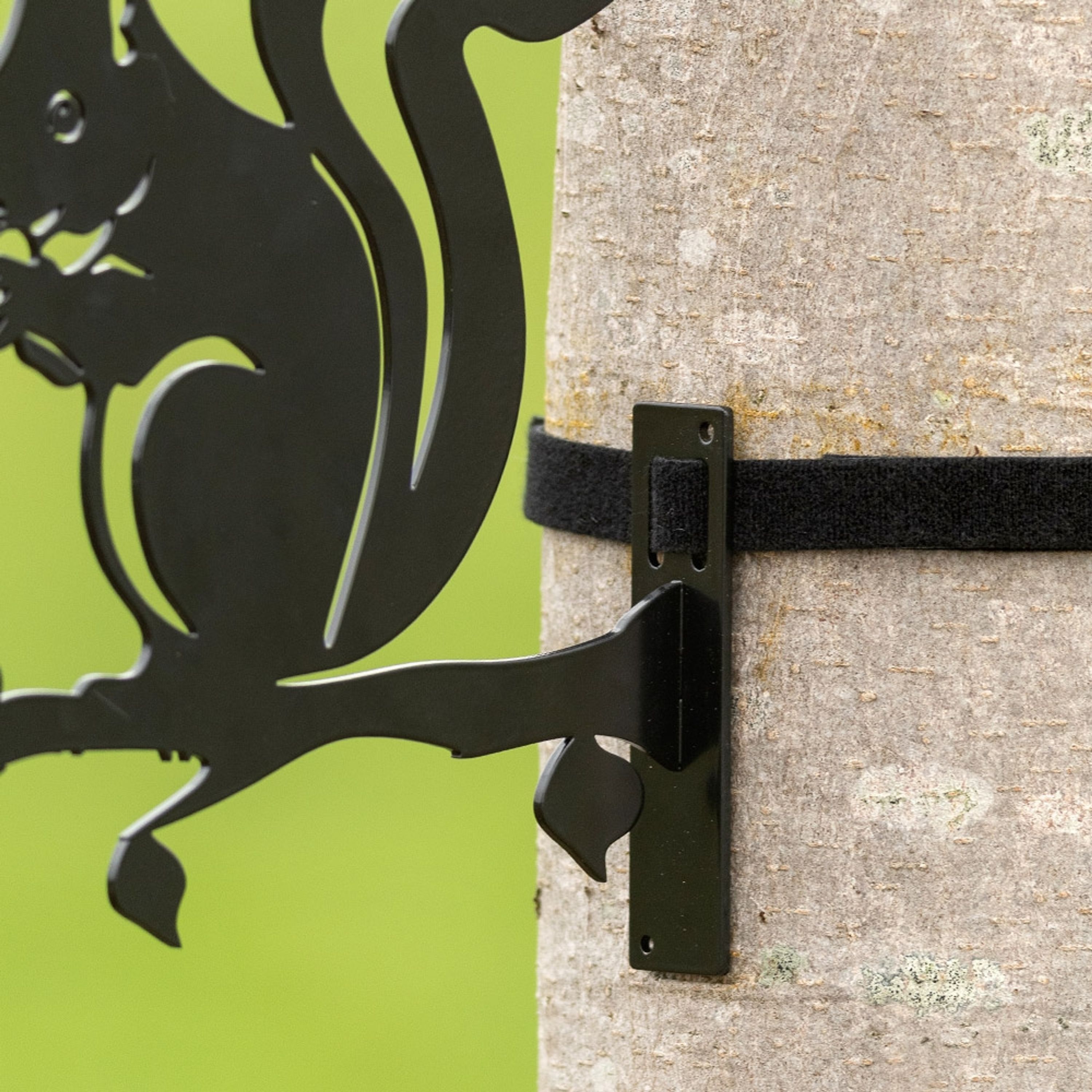 Metallsilhouette – Eichhörnchen | CJ Wildlife