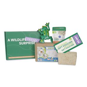 Junior Discover & Learn Gift Box