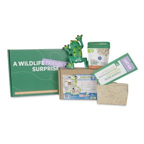 Boîte Junior Découvre & Apprends