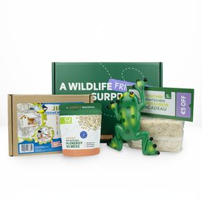 Boîte Junior Découvre & Apprends