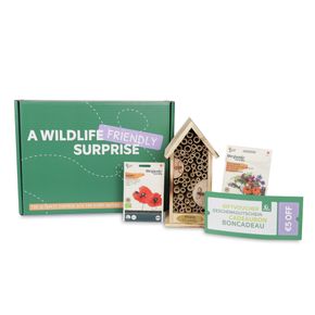 Bijen & Insecten Box
