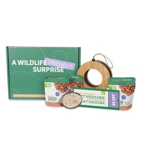 Design Gift Box