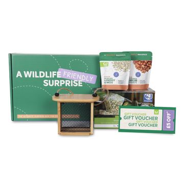 Premium Gift Box