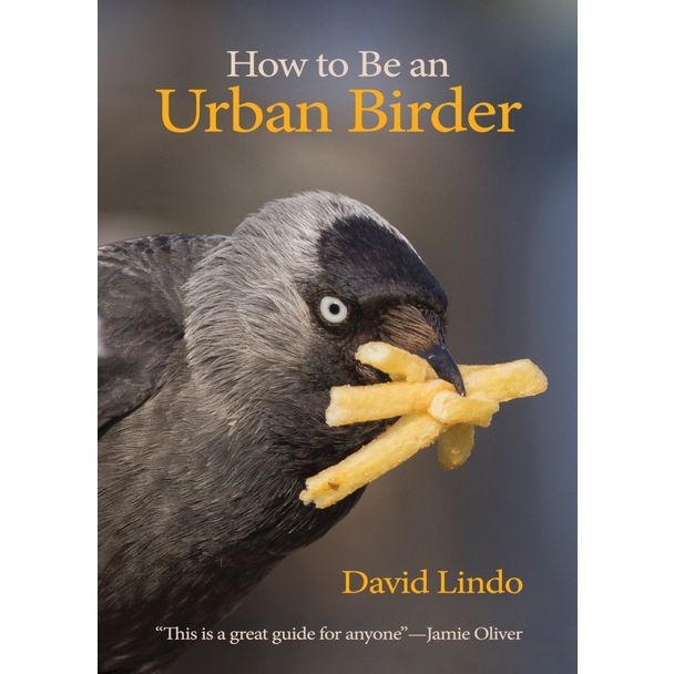 How To Be An Urban Birder Book
