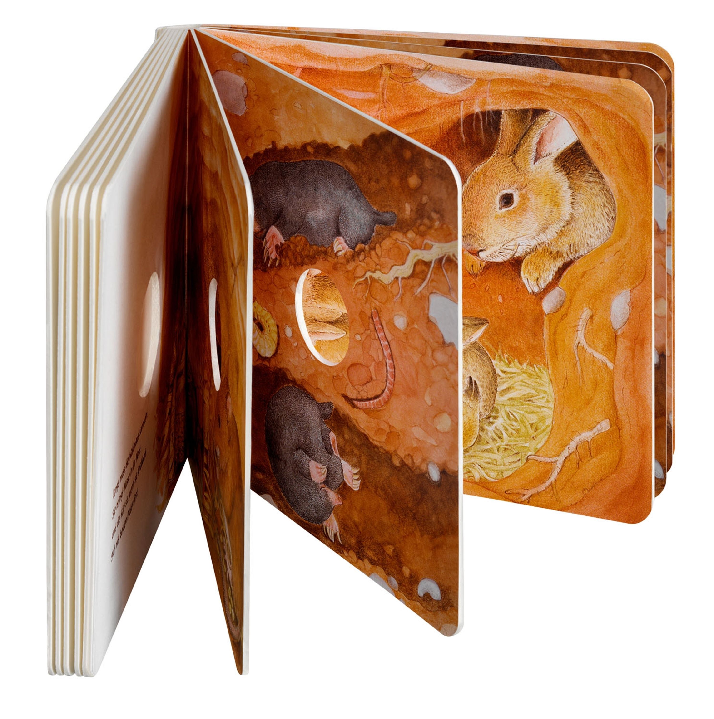 Guck mal unter die Erde | Vivara