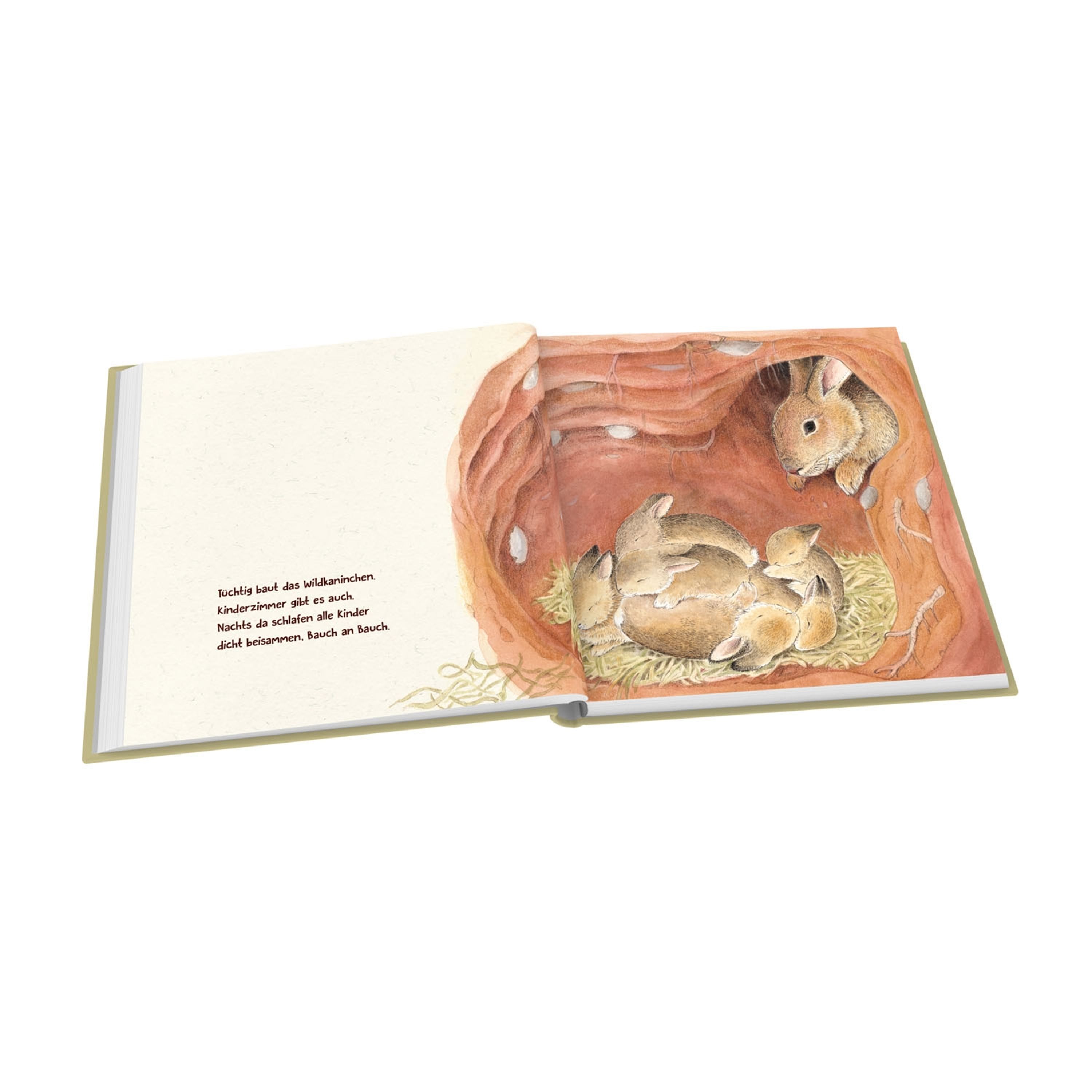 Guck mal unter die Erde | Vivara