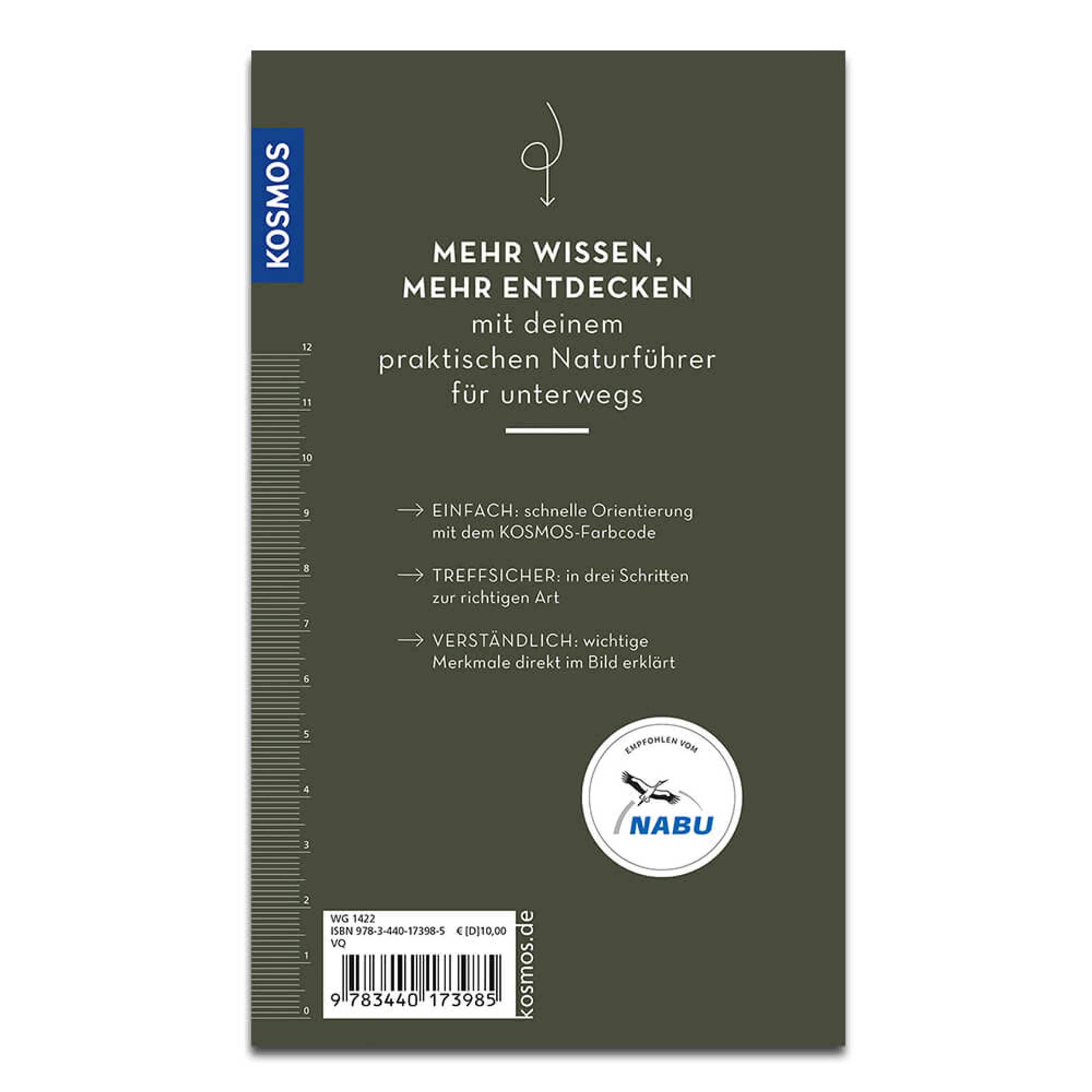 Schmetterlinge (Kosmos-Naturführer Basics) | Vivara