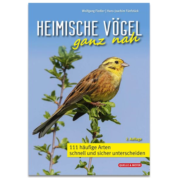Heimische Vögel ganz nah