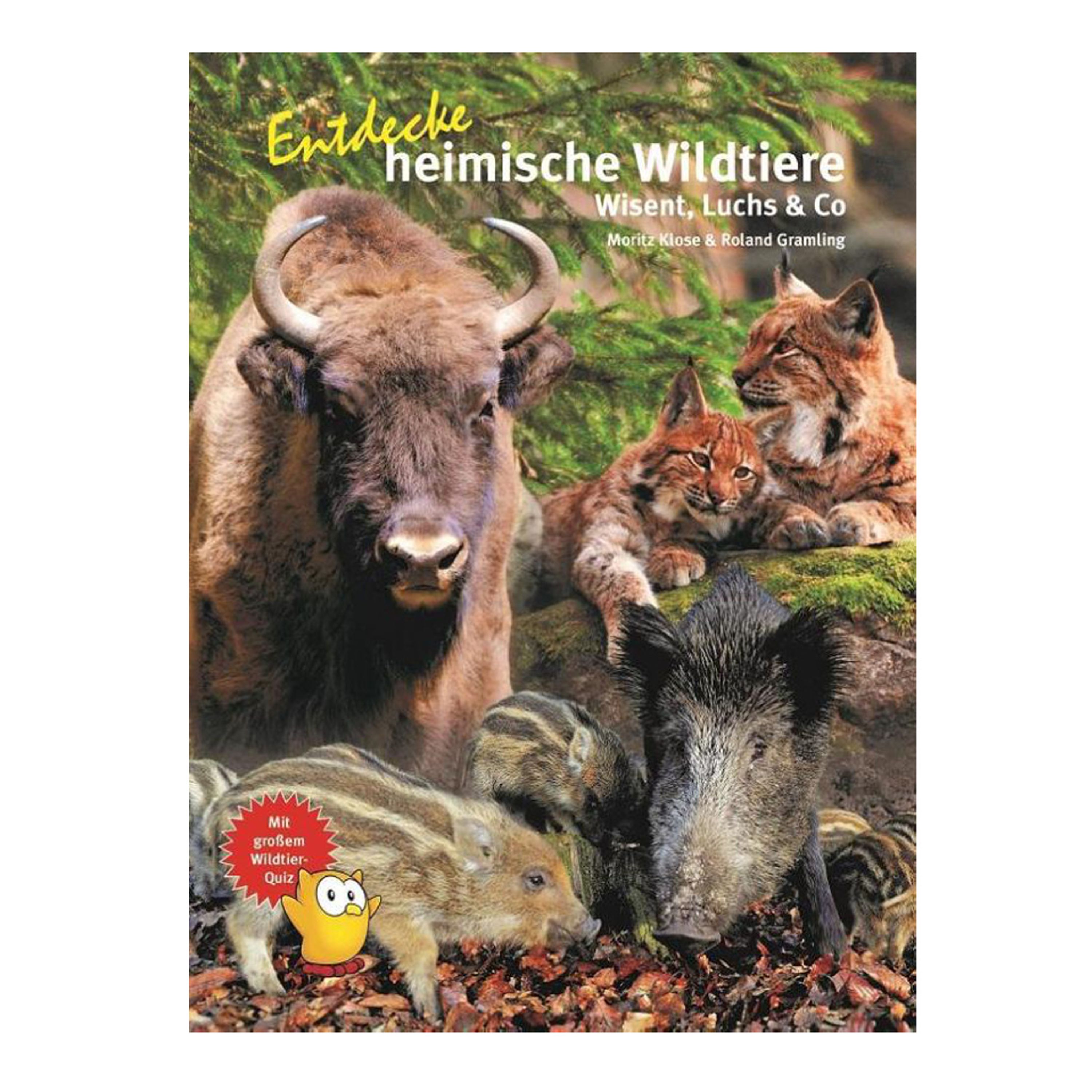 Ontdek De Lokale Fauna | Vivara