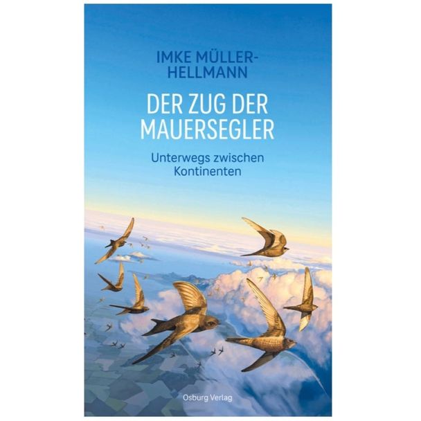 Der Zug der Mauersegler