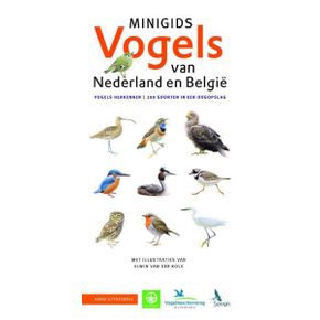 Minigids Vogels van Nederland en België