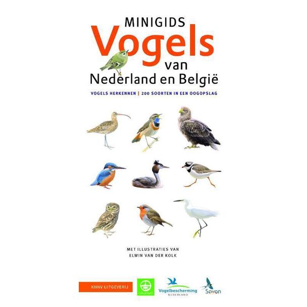 Minigids Vogels van Nederland en België