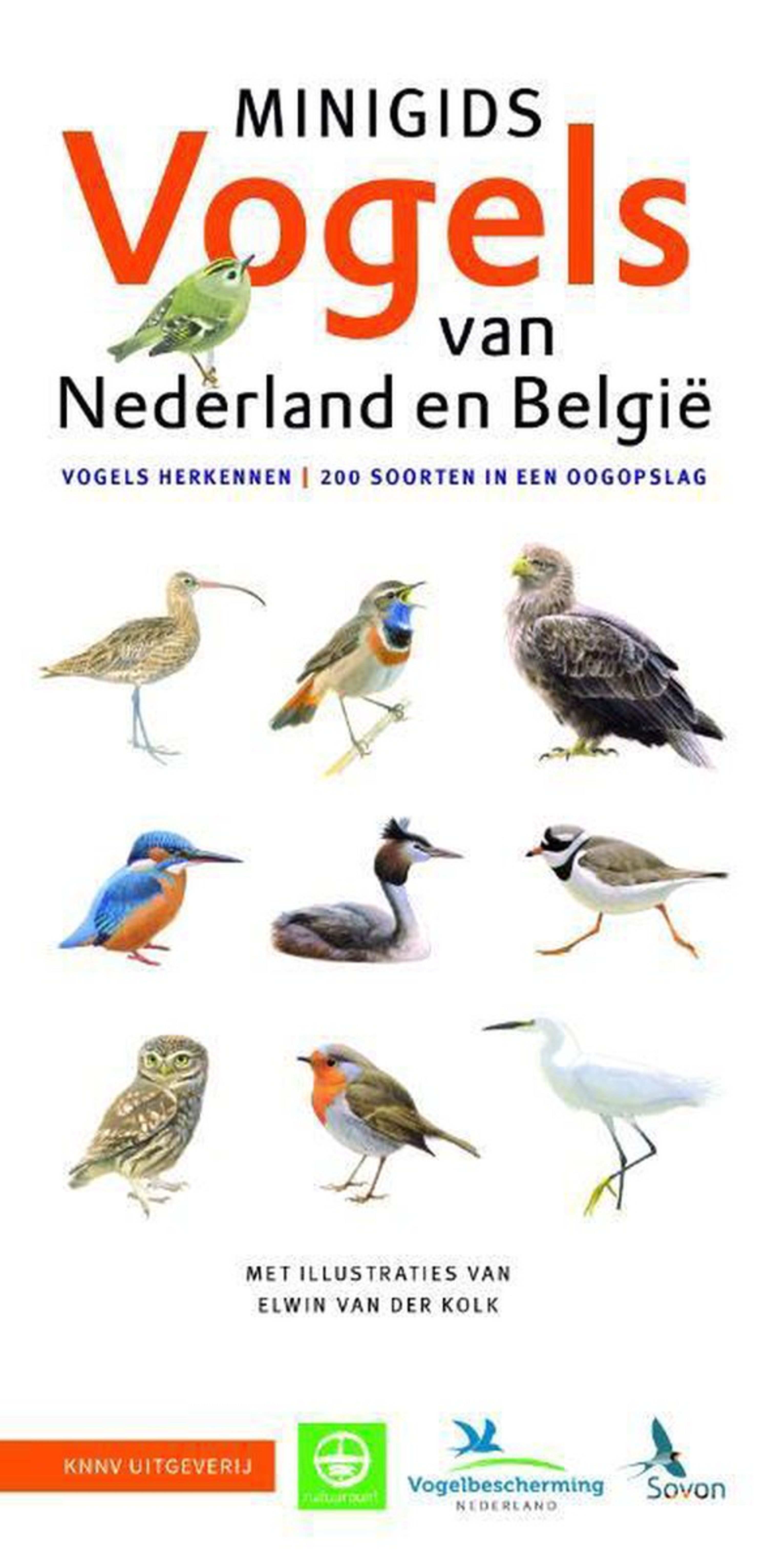 Minigids Vogels Van Nederland En Belgie | Vivara | Boeken | Partner van Vogelbescherming Nederland |