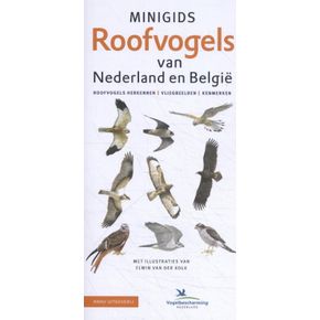 Minigids - Minigids Roofvogels van Nederland en België