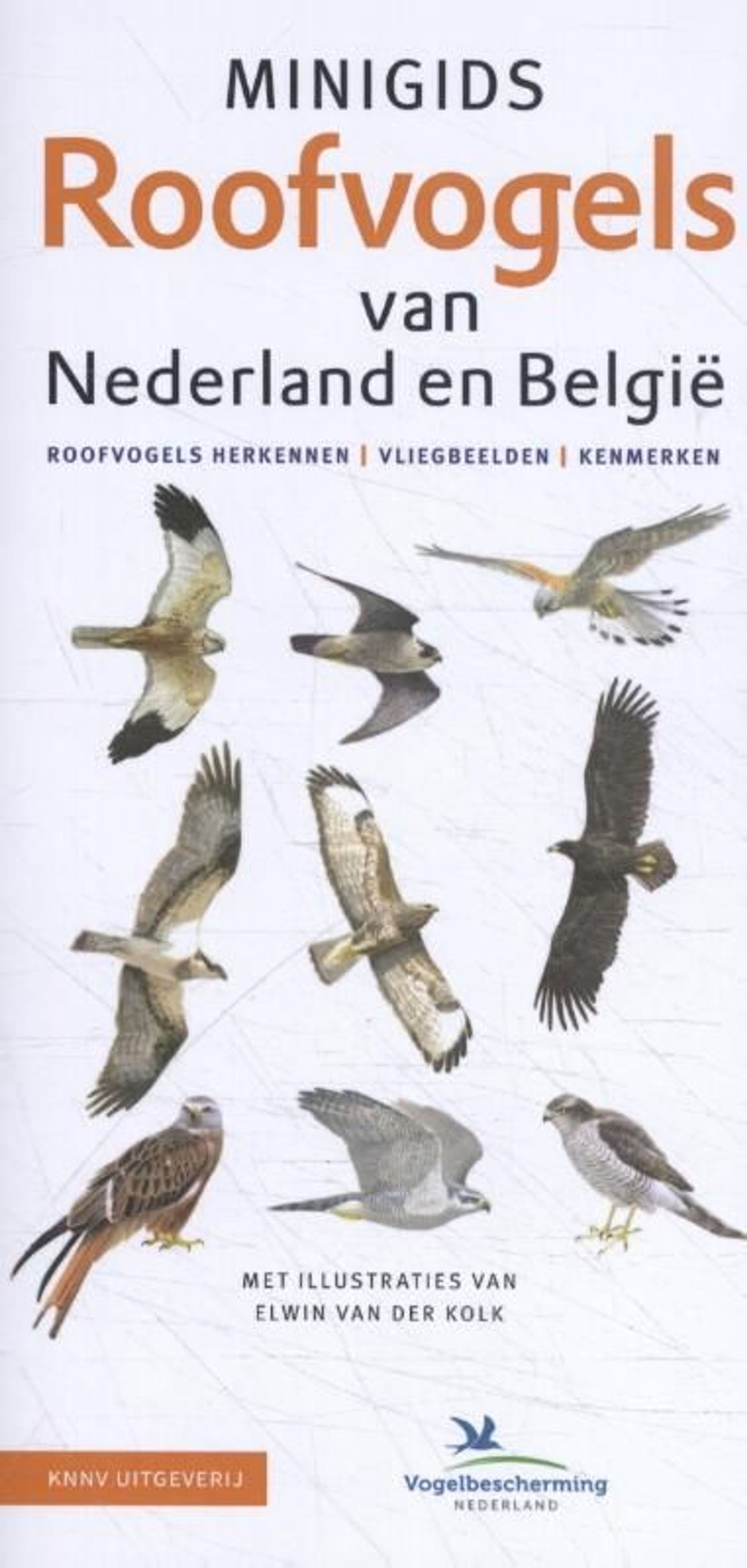Minigids Roofvogels Van Nederland En Belgie | Vivara | Kijkkaart met 17 soorten | Roofvogels herkenn