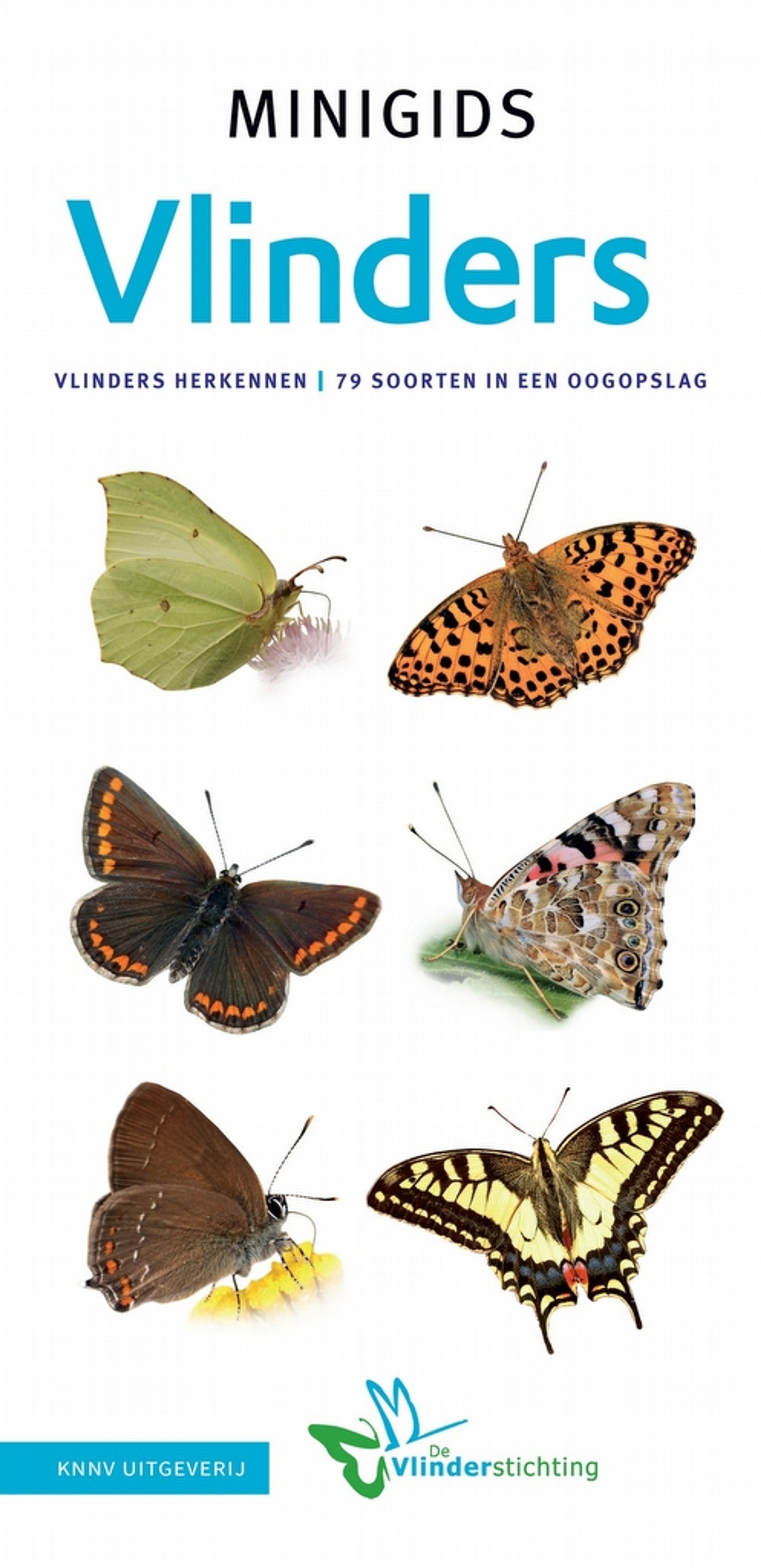 Minigids Vlinders Van Nederland En Belgie | Vivara | Boeken | Partner van Vogelbescherming Nederland