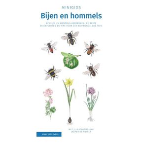Minigids bijen en hommels