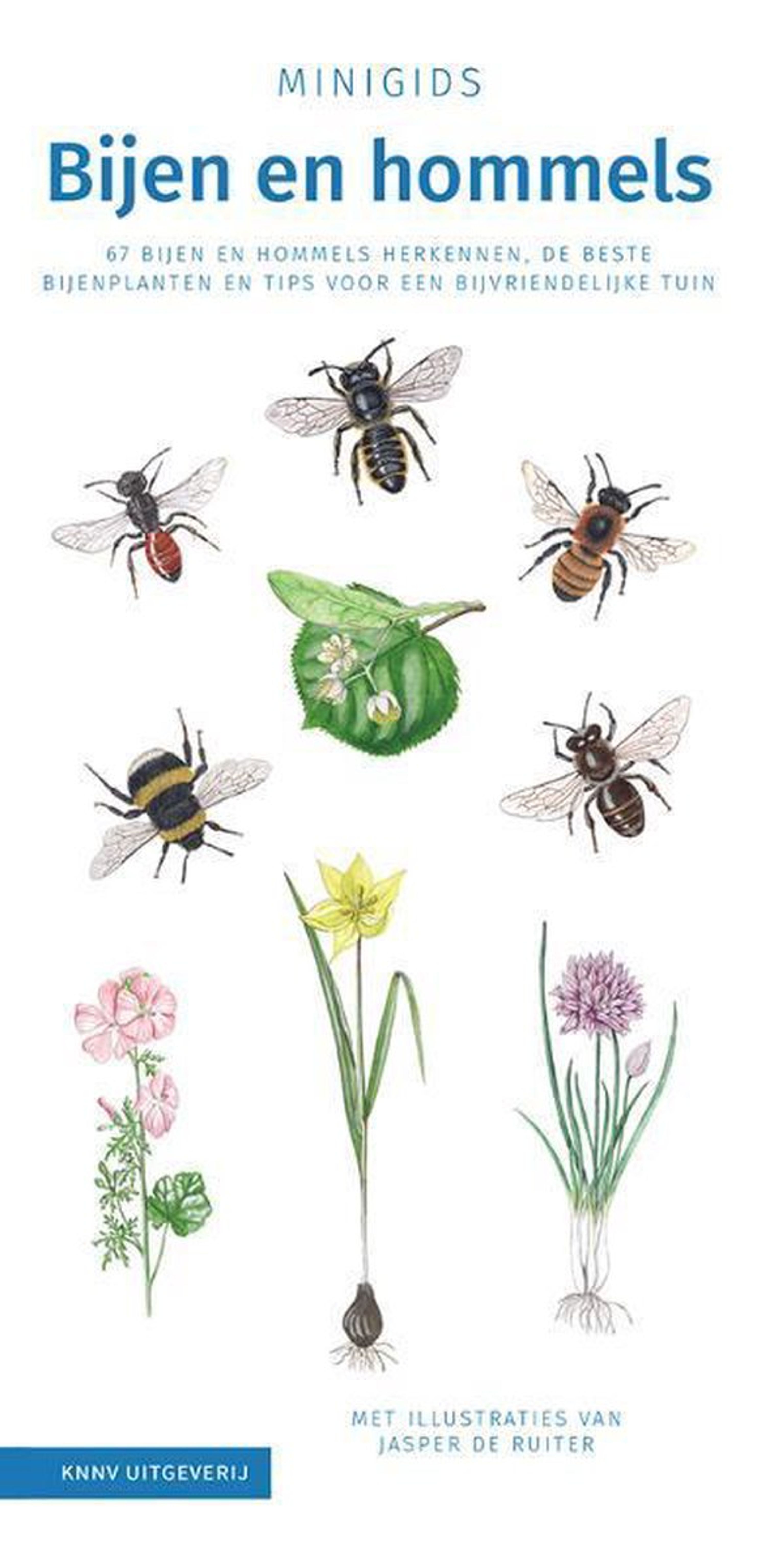 Minigids bijen en hommels | Vivara | Boeken | Partner van Vogelbescherming Nederland