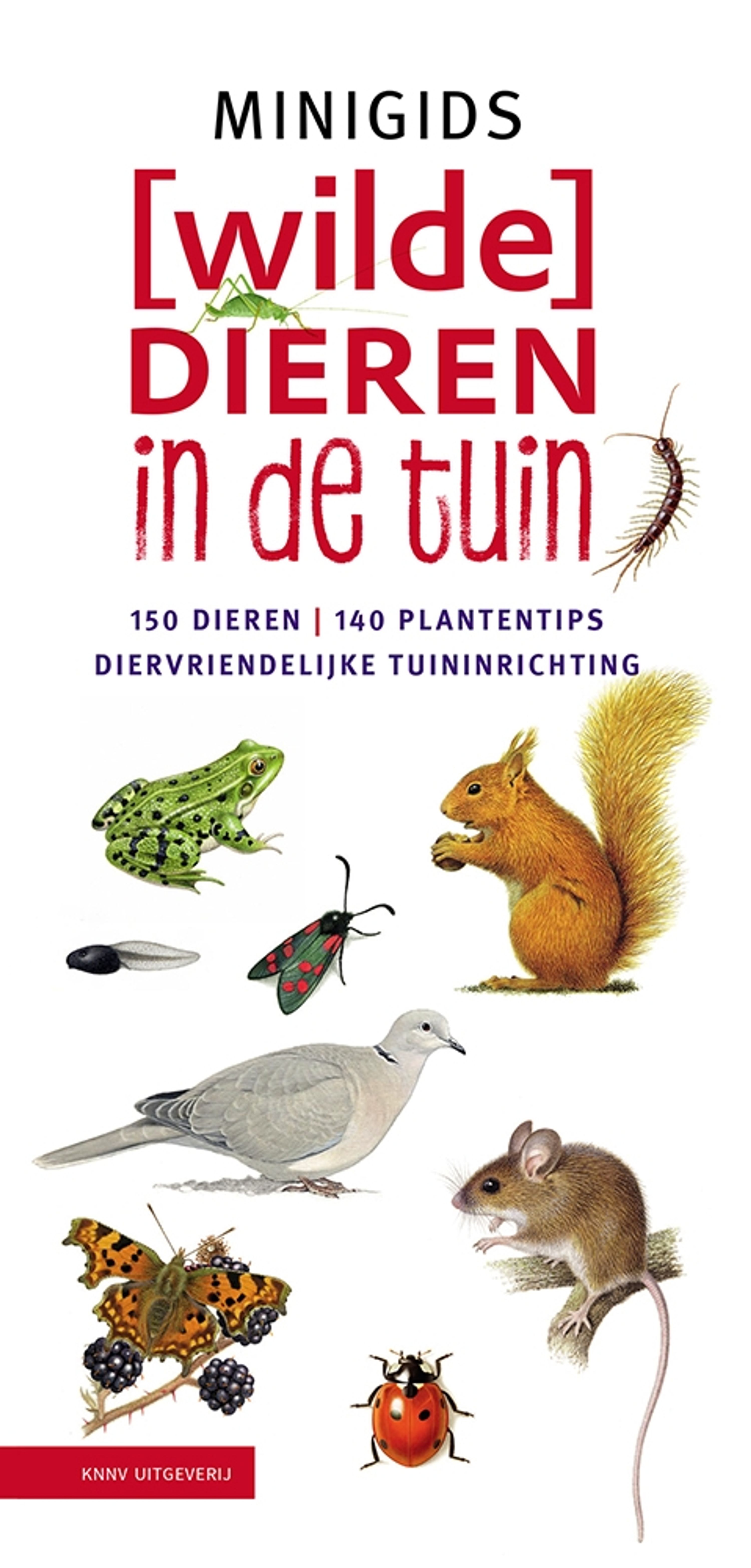 Minigids (Wilde) dieren in de tuin | Vivara | Boeken | Partner van Vogelbescherming Nederland