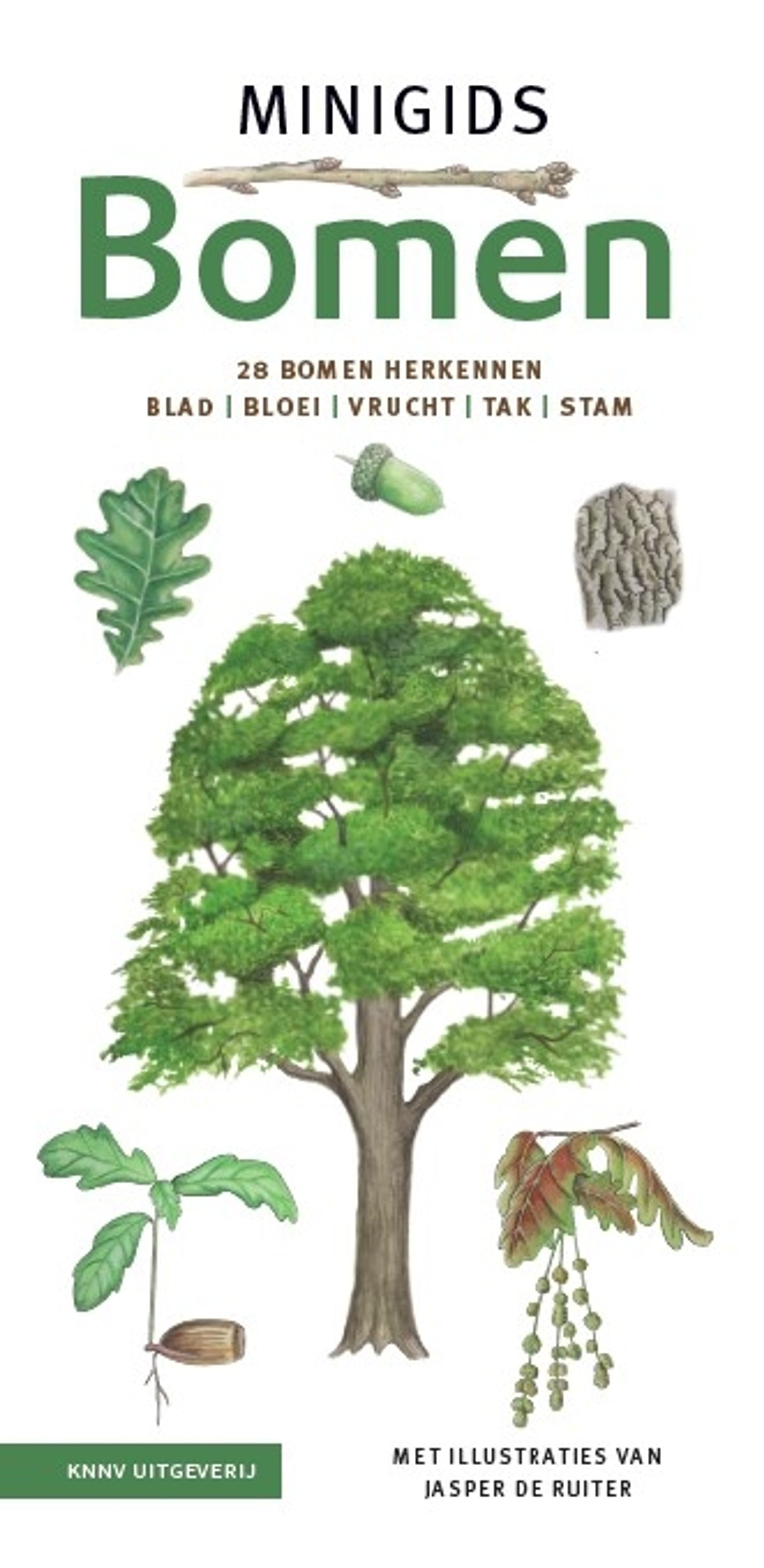 Minigids Bomen | Vivara | Herkenkaart | Leer bomen herkennen | Met informatie over 28 boomsoorten | 