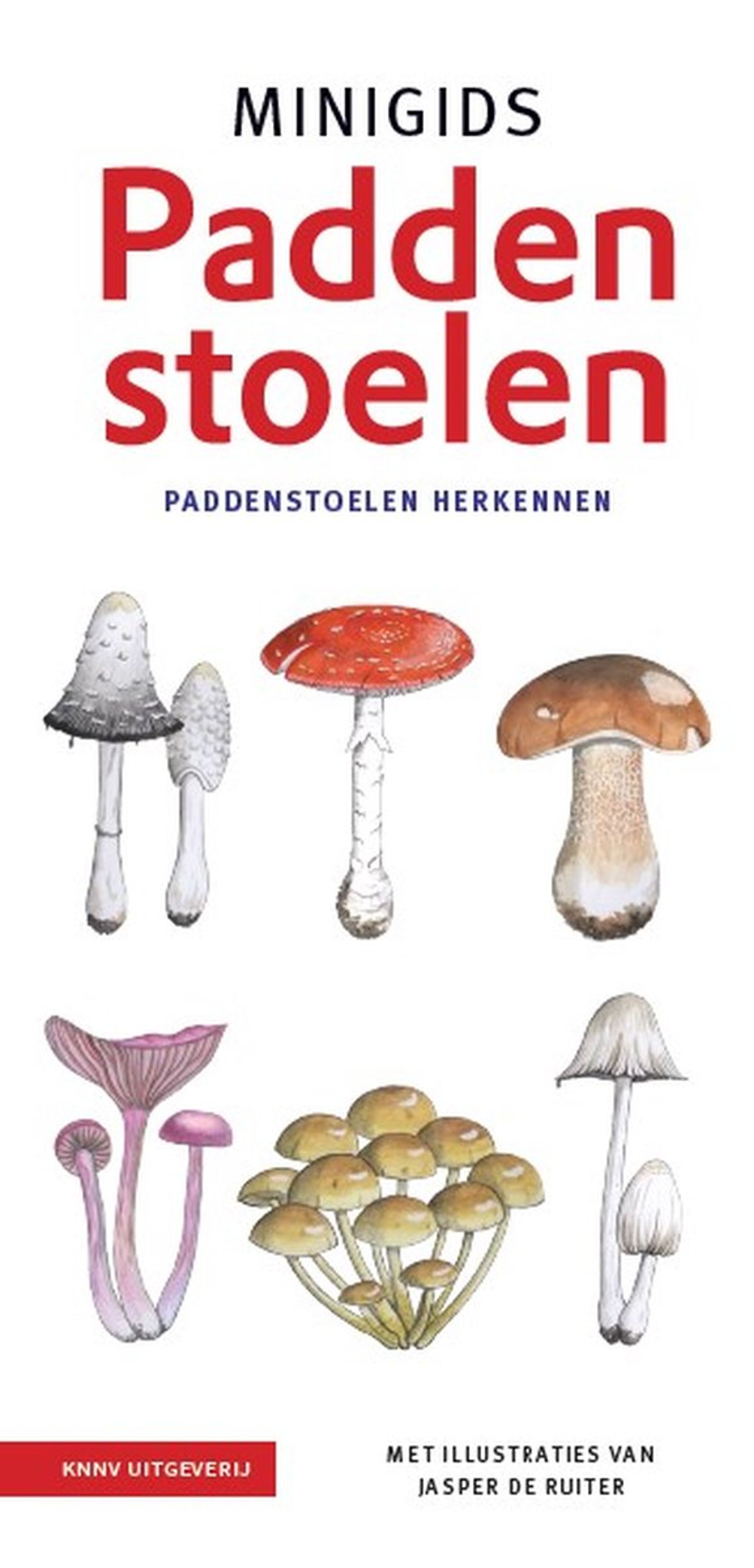 Minigids Paddenstoelen | Vivara | Boeken | Partner van Vogelbescherming Nederland | Paddenstoelen he
