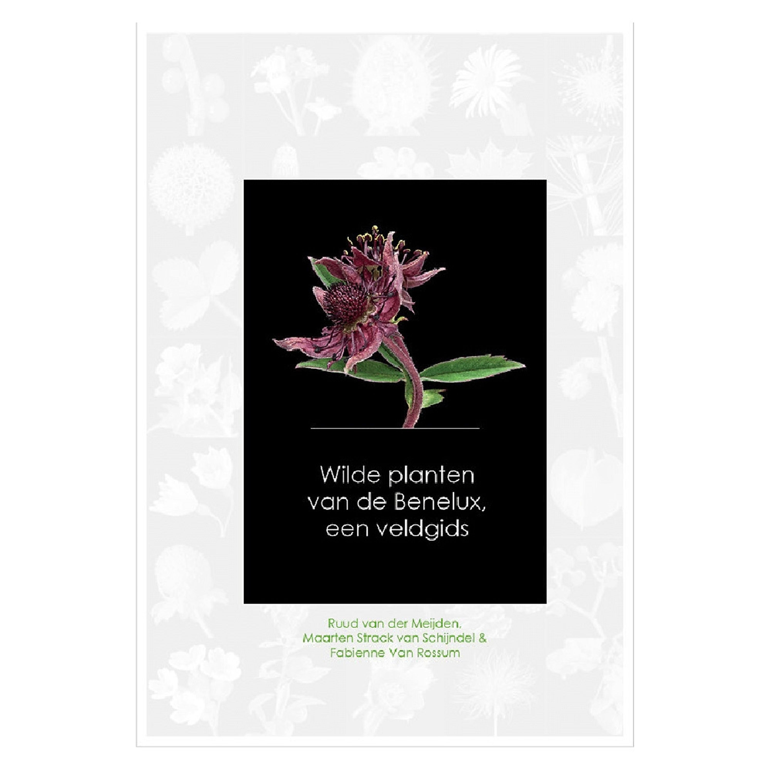 Wilde planten van de Benelux | Vivara | Boeken | Partner van Vogelbescherming Nederland
