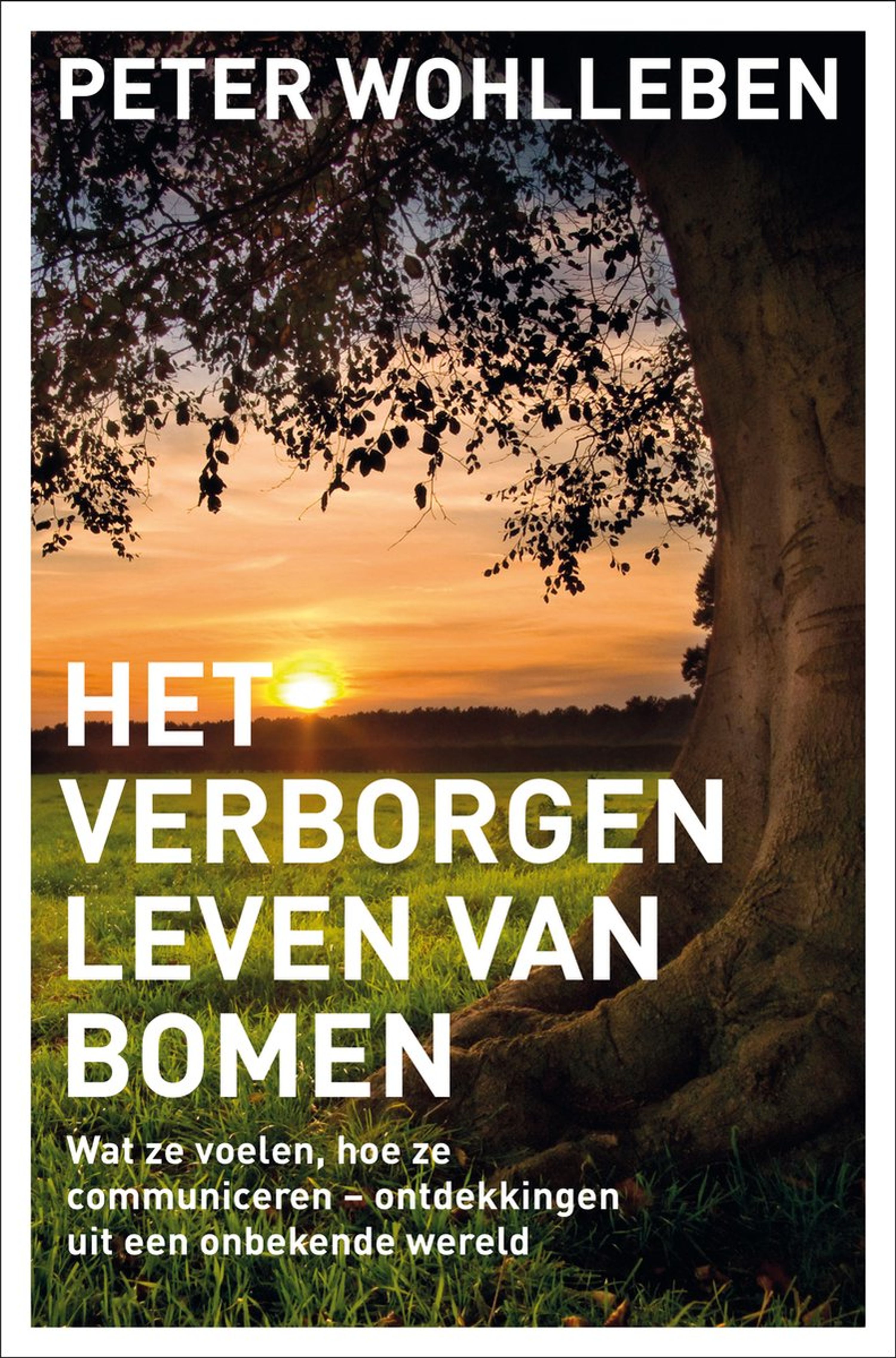 Het verborgen leven van bomen | Vivara | Boeken | Partner van Vogelbescherming Nederland