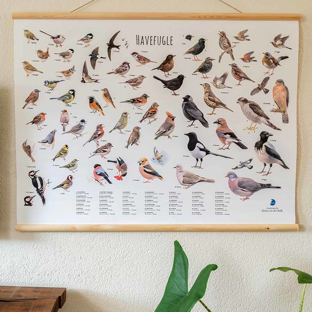 Fugle plakat - Elwin Van der Kolk 