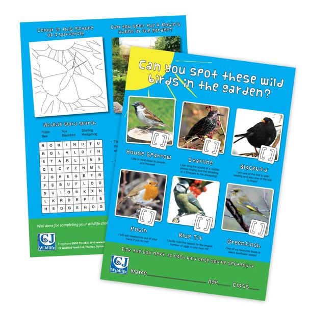 CJ's Children's Free Activity Sheet Age 7+