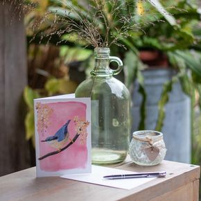 Nuthatch Greeting Card by Myrte