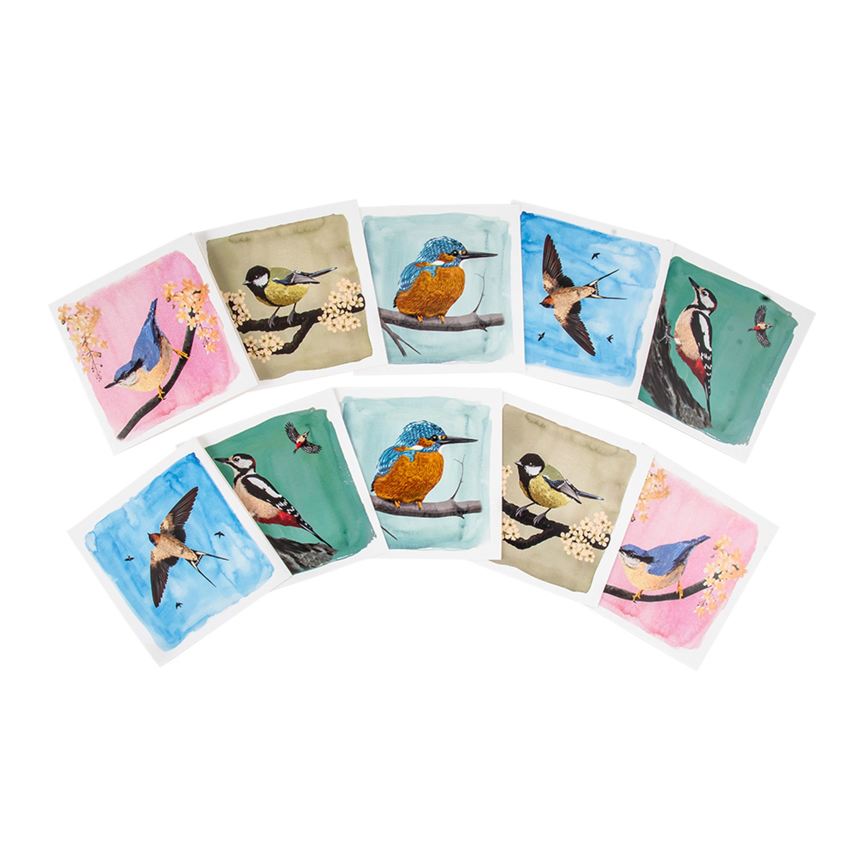 Meilleurs prix pour Sélection de cartes de voeux Myrte - 2 x 5 choix | CJ Wildlife