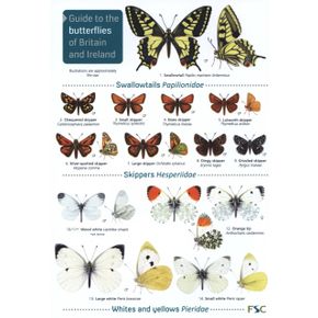 ID Chart - Butterflies of Britain 