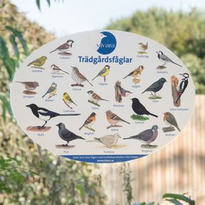 Fönsteraffisch trädgårdsfåglar