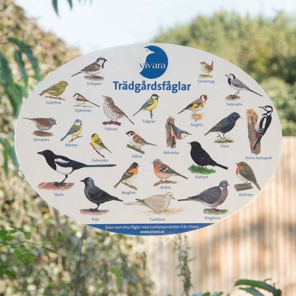 Fönsteraffisch trädgårdsfåglar