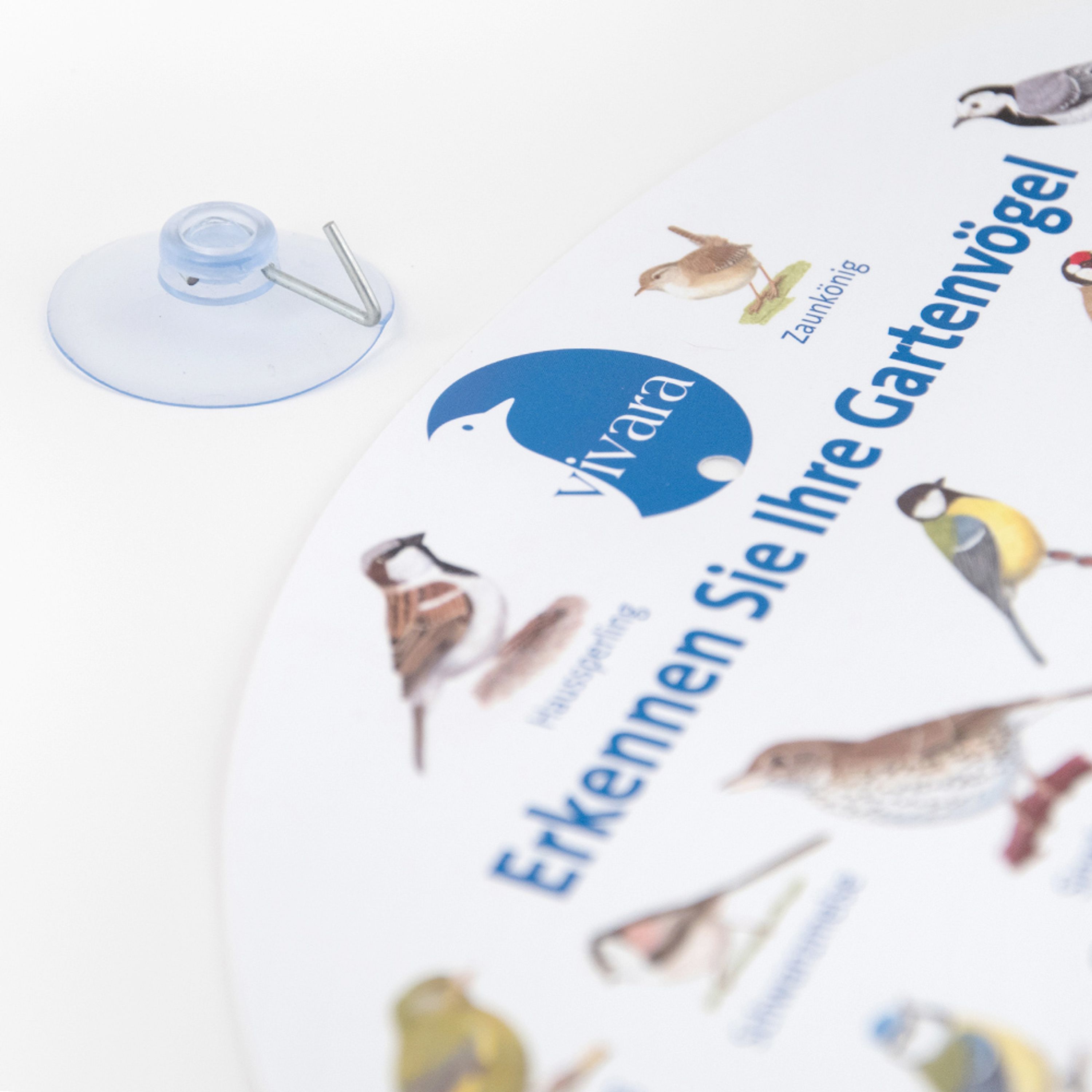 Fensterposter Gartenvögel | NABU