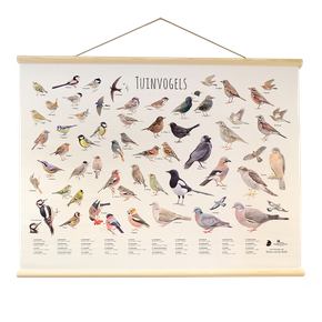 Tuinvogelposter Elwin van der Kolk