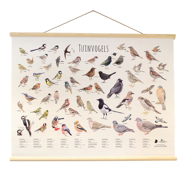 Tuinvogelposter Elwin van der Kolk