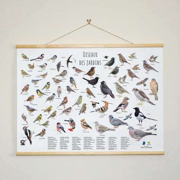 Poster oiseaux des jardins - Elwin van der Kolk