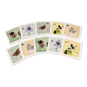 Sélection de cartes de voeux de insectes Myrte - 2 x 5 choix